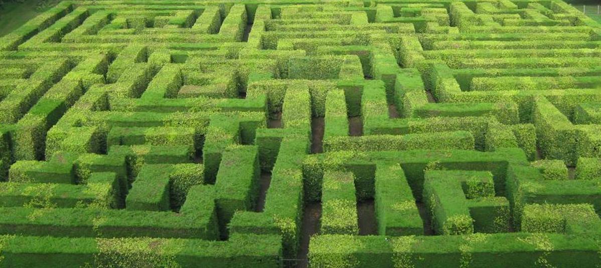 hedge maze at Traquair House