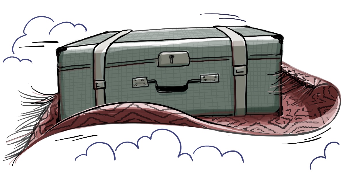 Primary image for Hover Suitcase